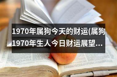 1970年属狗今天的财运(属狗1970年生人今日财运展望)