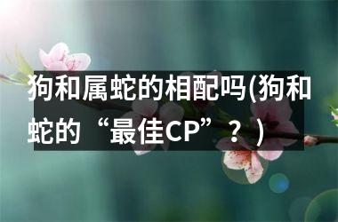 狗和属蛇的相配吗(狗和蛇的“佳CP”？)