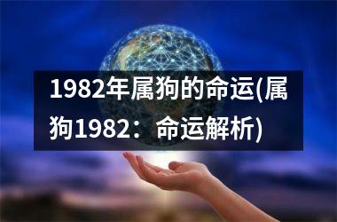 1982年属狗的命运(属狗1982：命运解析)