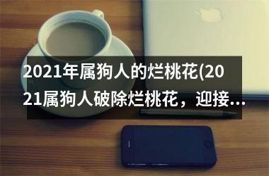 2025年属狗人的烂桃花(2025属狗人破除烂桃花，迎接美好人生)