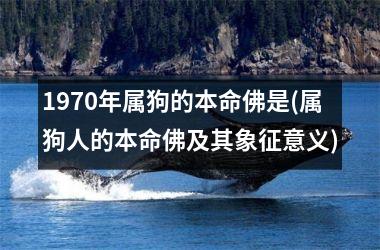 1970年属狗的本命佛是(属狗人的本命佛及其象征意义)