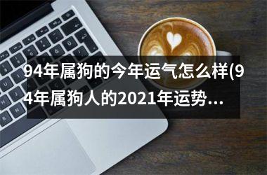 94年属狗的今年运气怎么样(94年属狗人的2025年运势如何)