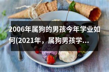 <h3>2006年属狗的男孩今年学业如何(2025年，属狗男孩学业稳步上升！)