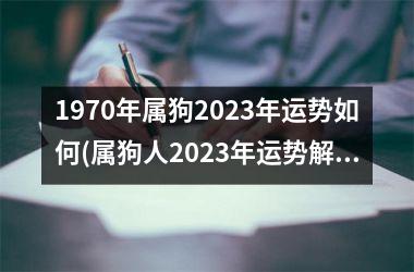 1970年属狗2025年运势如何(属狗人2025年运势解析)