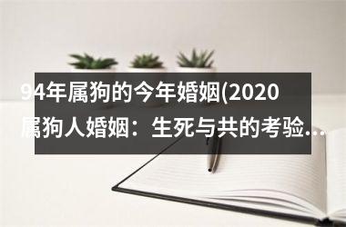 94年属狗的今年婚姻(2025属狗人婚姻：生死与共的考验)