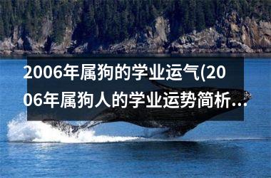 2006年属狗的学业运气(2006年属狗人的学业运势简析)