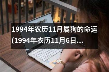 <h3>1994年农历11月属狗的命运(1994年农历11月6日是什么星座)