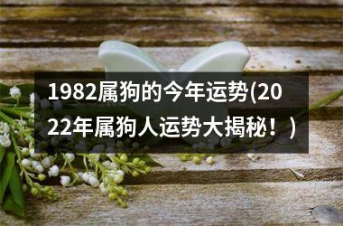 1982属狗的今年运势(2025年属狗人运势大揭秘！)