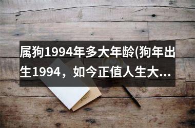 属狗1994年多大年龄(狗年出生1994，如今正值人生大好盛年。)