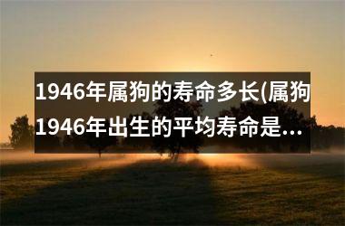 <h3>1946年属狗的寿命多长(属狗1946年出生的平均寿命是多少？)