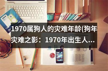 <h3>1970属狗人的灾难年龄(狗年灾难之影：1970年出生人的命运)