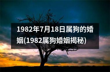 1982年7月18日属狗的婚姻(1982属狗婚姻揭秘)