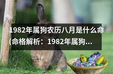 1982年属狗农历八月是什么命(命格解析：1982年属狗农历八月生辰八字批命)