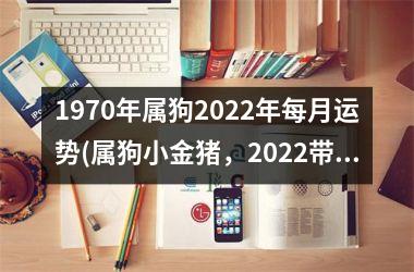 1970年属狗2025年每月运势(属狗小金猪，2025带你飞)