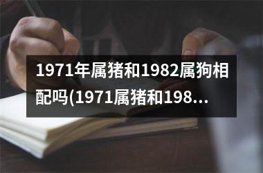 1971年属猪和1982属狗相配吗(1971属猪和1982属狗配对合适吗？)