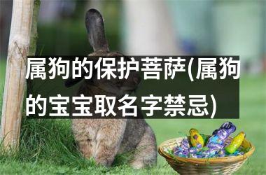 属狗的保护菩萨(属狗的宝宝取名字禁忌)