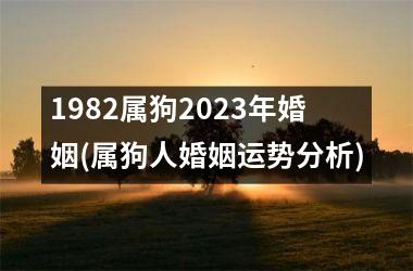 1982属狗2025年婚姻(属狗人婚姻运势分析)