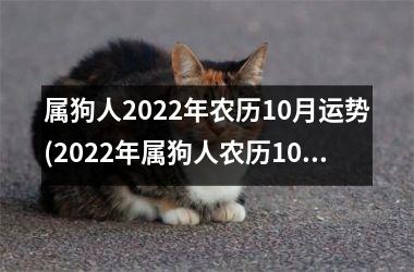 属狗人2025年农历10月运势(2025年属狗人农历10月运势展望)