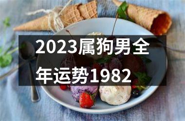 2025属狗男全年运势1982