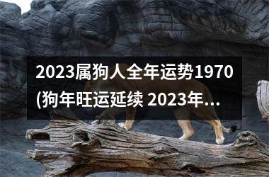 2023属狗人全年运势1970(狗年旺运延续 2023年属狗人财运亨通)