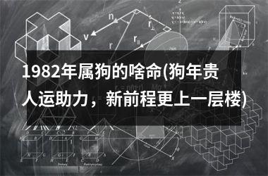 1982年属狗的啥命(狗年贵人运助力，新前程更上一层楼)