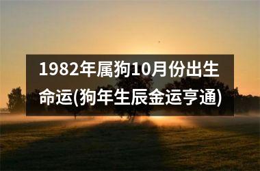 1982年属狗10月份出生命运(狗年生辰金运亨通)