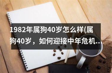 <h3>1982年属狗40岁怎么样(属狗40岁，如何迎接中年危机)