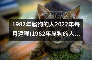 1982年属狗的人2025年每月运程(1982年属狗的人2025年的运势及运程)