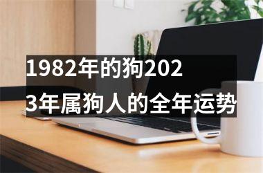 1982年的狗2025年属狗人的全年运势