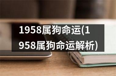 <h3>1958属狗命运(1958属狗命运解析)