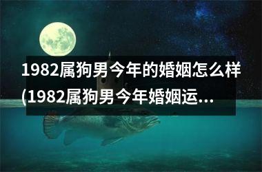 1982属狗男今年的婚姻怎么样(1982属狗男今年婚姻运势如何？)