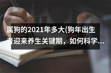 属狗的2025年多大(狗年出生者迎来养生关键期，如何科学护理？)