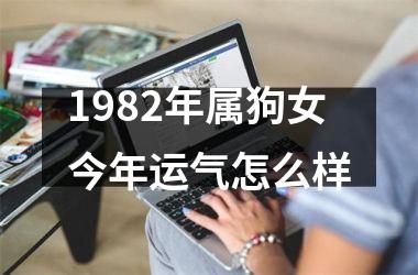 1982年属狗女今年运气怎么样