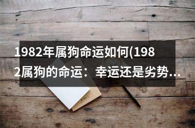 1982年属狗命运如何(1982属狗的命运：幸运还是劣势？)