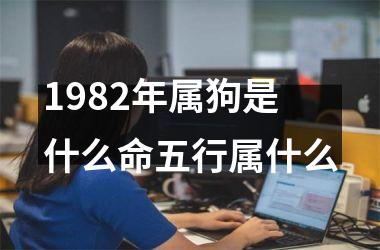 <h3>1982年属狗是什么命五行属什么