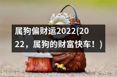 属狗偏财运2025(2025，属狗的财富快车！)