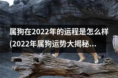 属狗在2022年的运程是怎么样(2022年属狗运势大揭秘！)