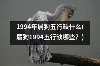 1994年属狗五行缺什么(属狗1994五行缺哪些？)