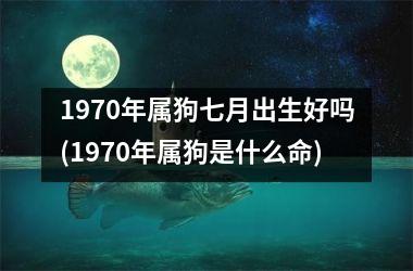 1970年属狗七月出生好吗(1970年属狗是什么命)