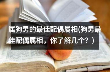 属狗男的佳配偶属相(狗男佳配偶属相，你了解几个？)