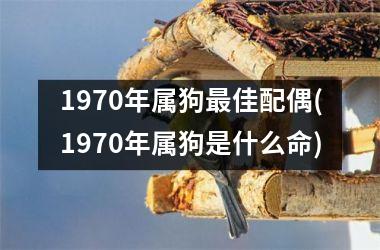 1970年属狗佳配偶(1970年属狗是什么命)