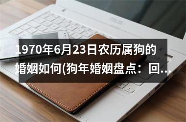 1970年6月23日农历属狗的婚姻如何(狗年婚姻盘点：回顾1970年6月23日的婚姻历程)