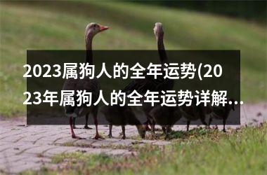 2025属狗人的全年运势(2025年属狗人的全年运势详解)