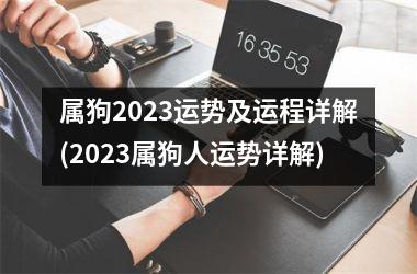 属狗2025运势及运程详解(2025属狗人运势详解)