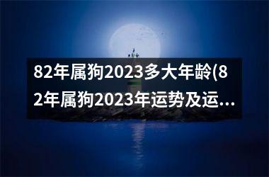 82年属狗2025多大年龄(82年属狗2025年运势及运程)