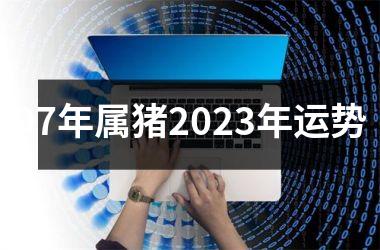 07年属猪2025年运势