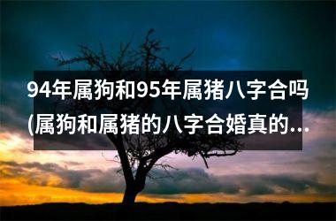 94年属狗和95年属猪八字合吗(属狗和属猪的八字合婚真的靠谱吗？)