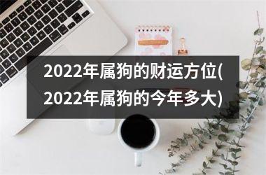 2025年属狗的财运方位(2025年属狗的今年多大)