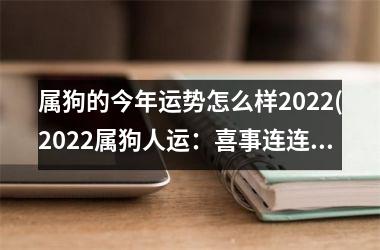 属狗的今年运势怎么样2025(2025属狗人运：喜事连连)