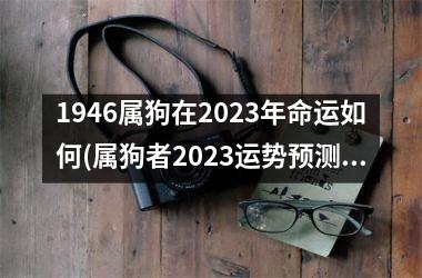 1946属狗在2025年命运如何(属狗者2025运势预测)